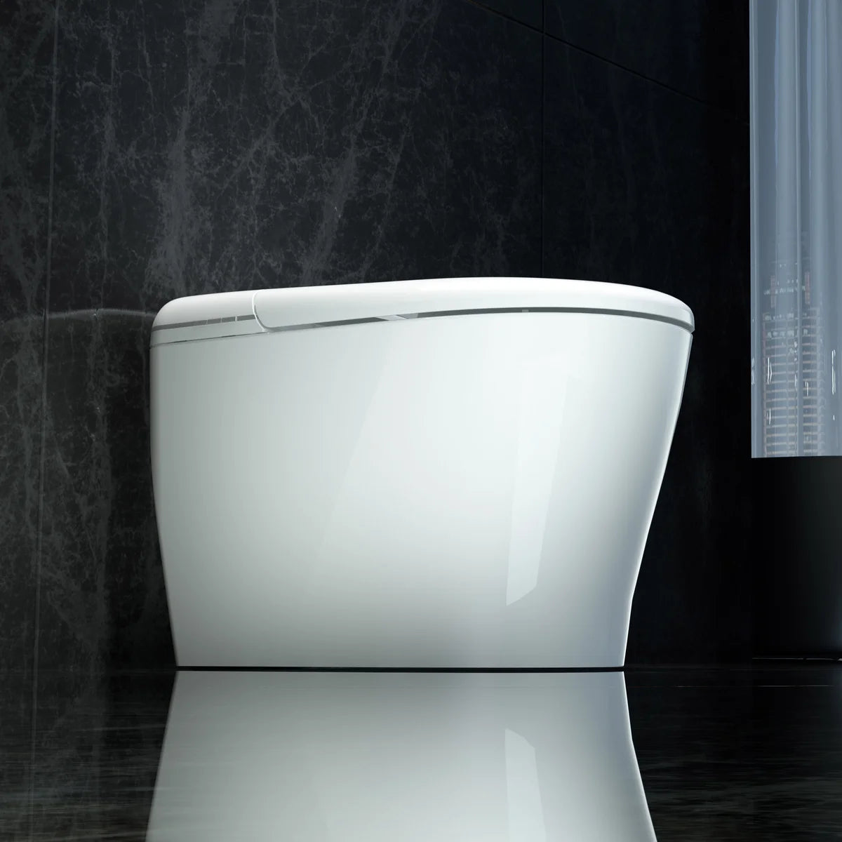 Ecoway Deluxe Integrated Smart Toilet