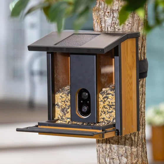 Solar Smart Bird Feeder