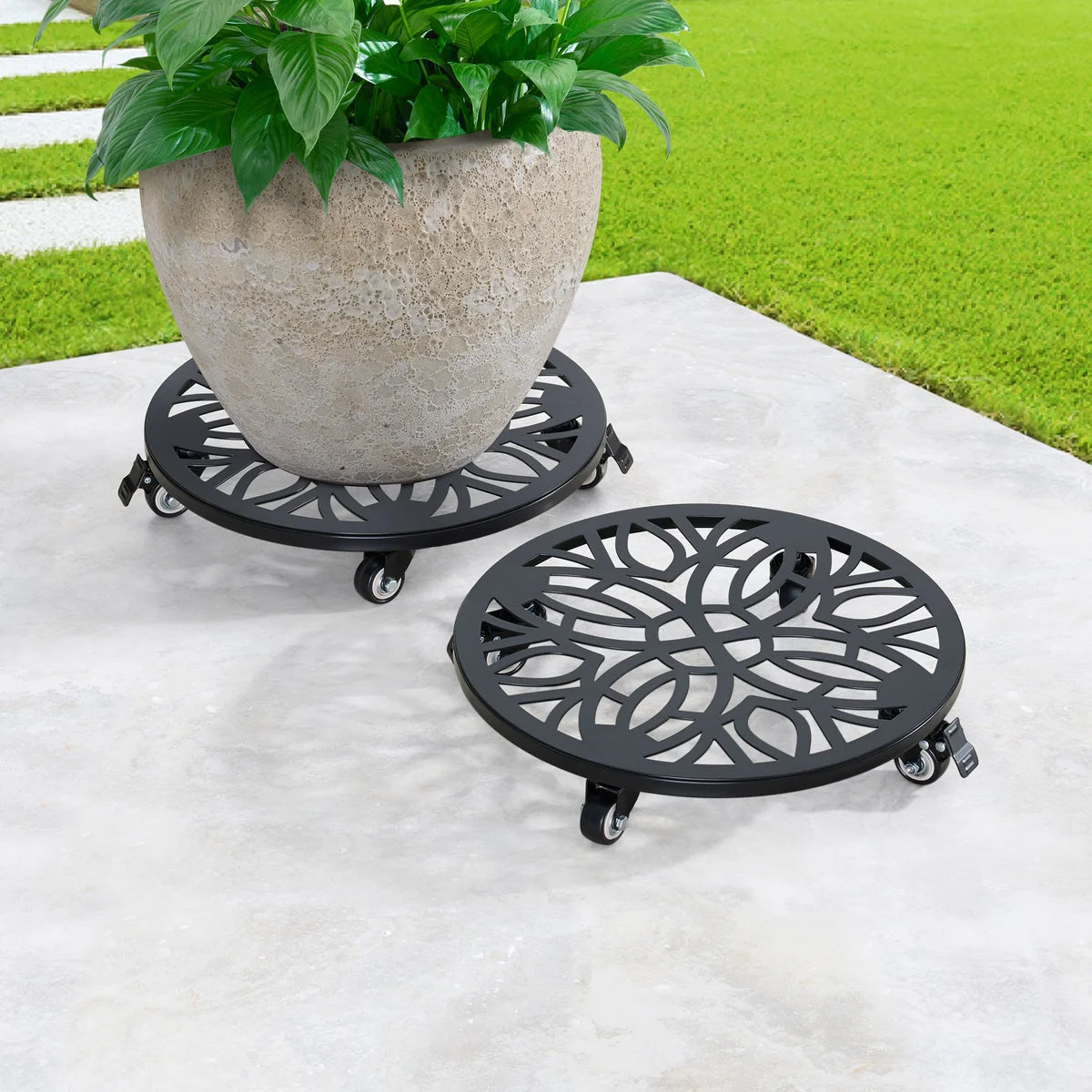 Steel Plant Caddy, 2-pack