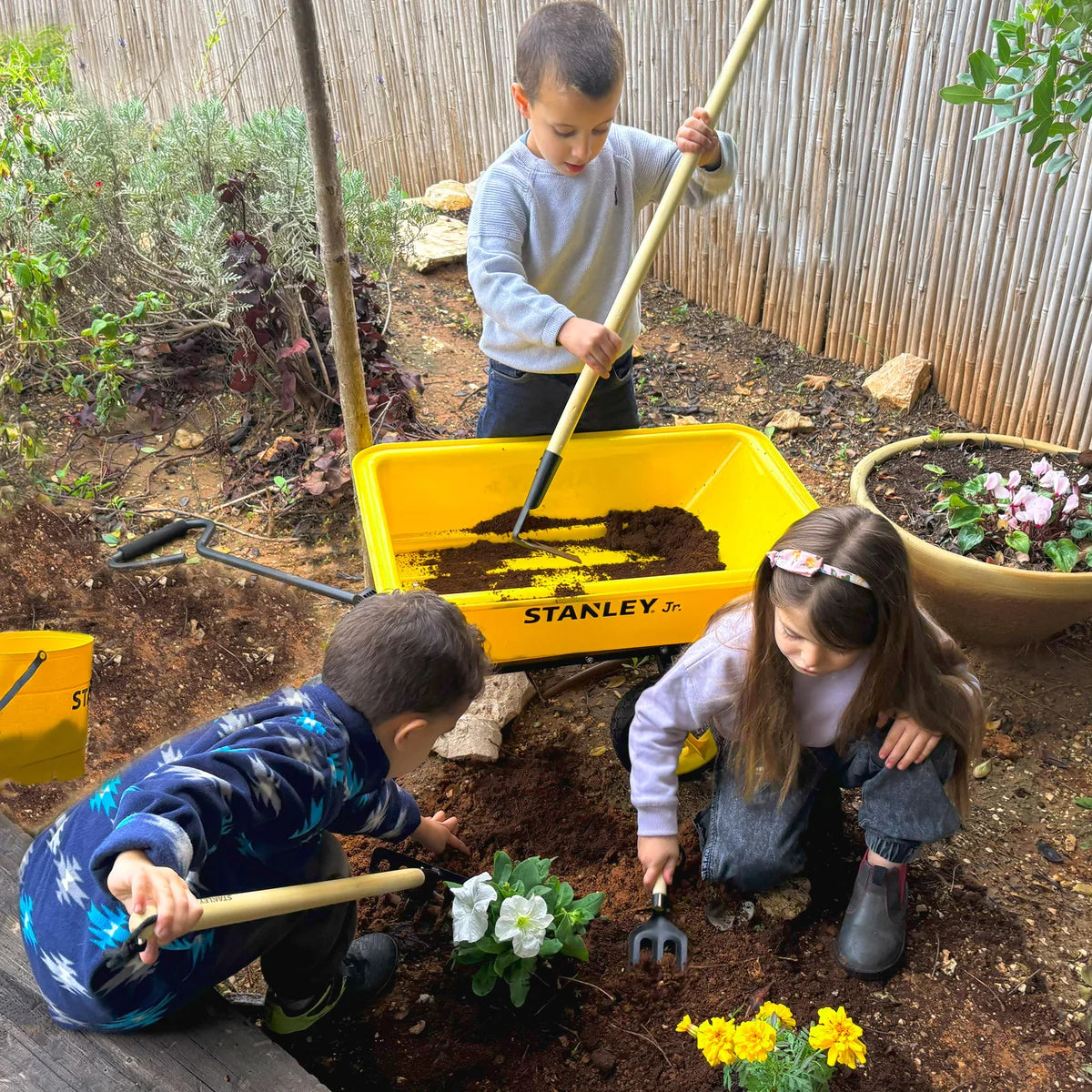 Stanley Jr. Wagon Set