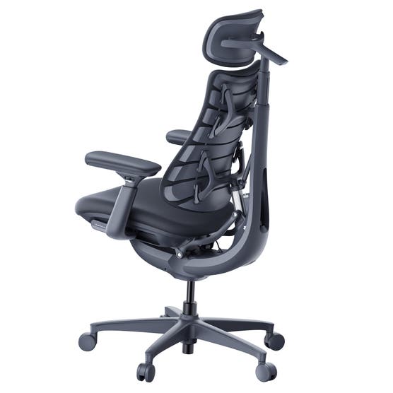 Libernovo Omni OC1 Ergonomic Office Chair with StepSync Footrest