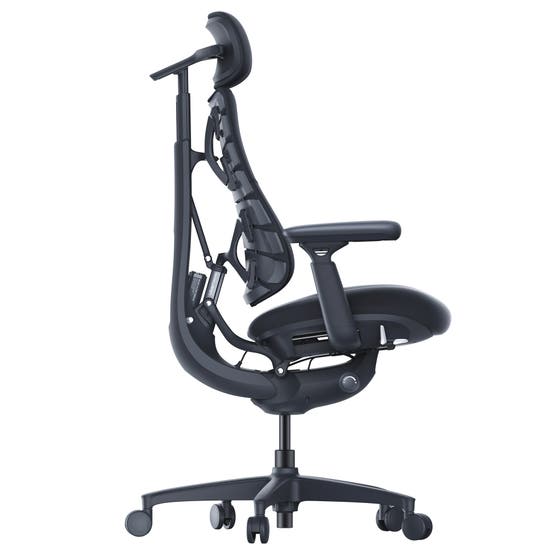 Libernovo Omni OC1 Ergonomic Office Chair with StepSync Footrest