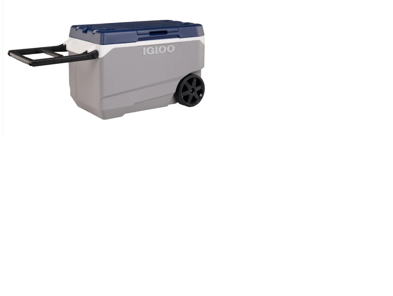 IGLOO 90QT MAXCOLD C