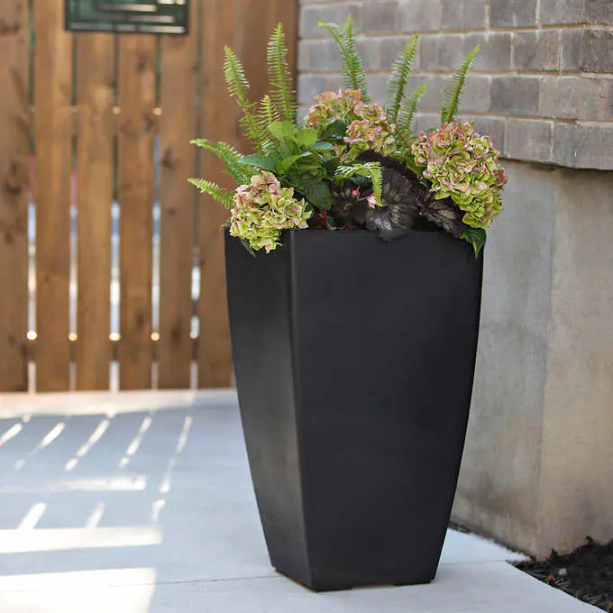 KOBI 26IN TALL PLANT
