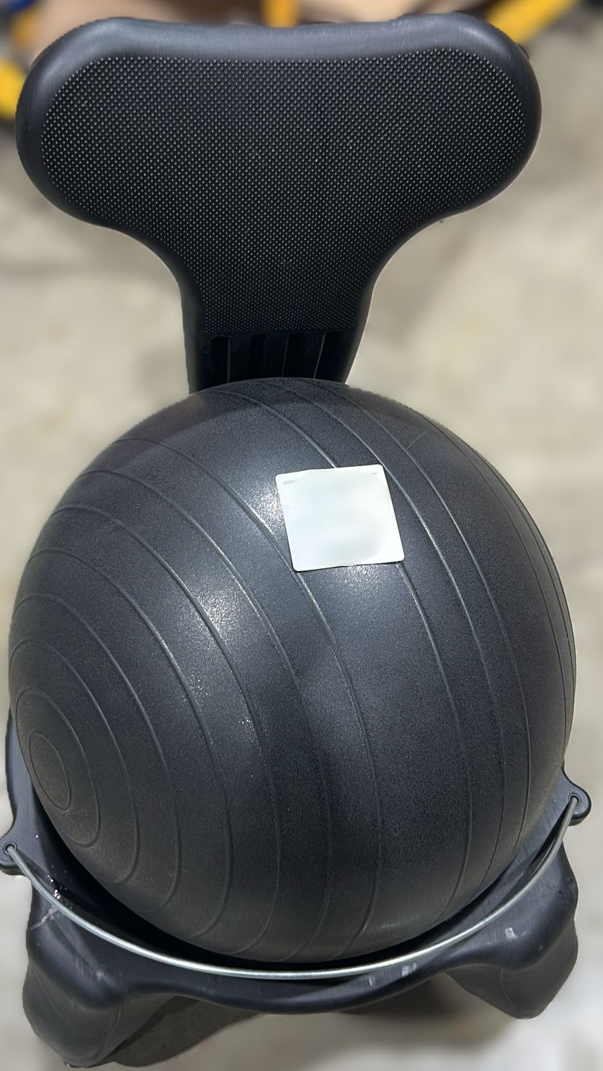 Gaiam Balance Ball Chair