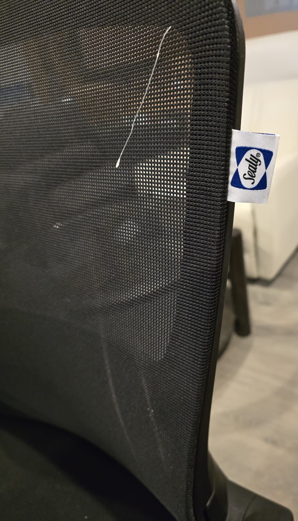 Sealy Lucky Mesh Office Chair