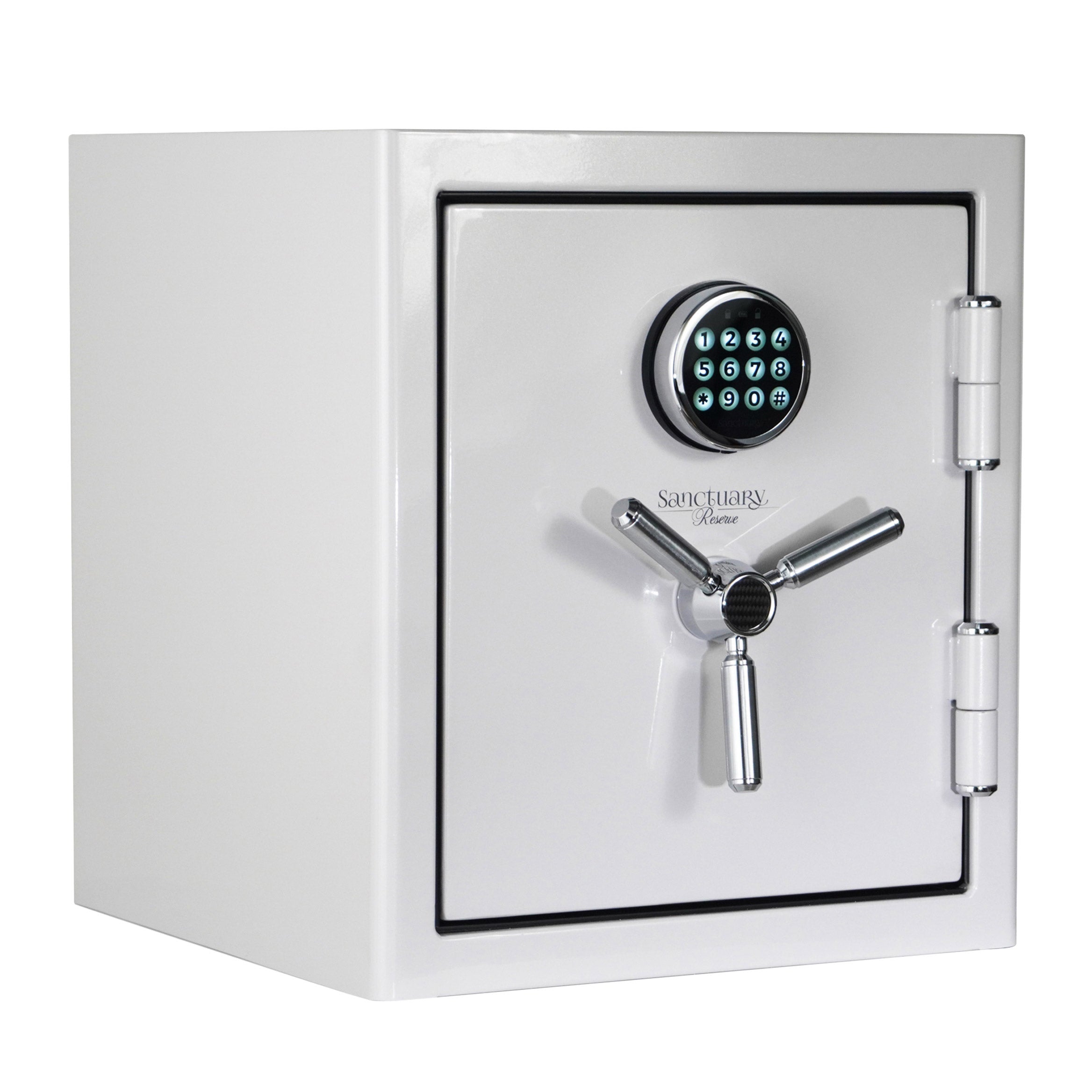 Sanctuary Reserve 1.69 cu. ft. Home & Office Safe with Electronic Lock