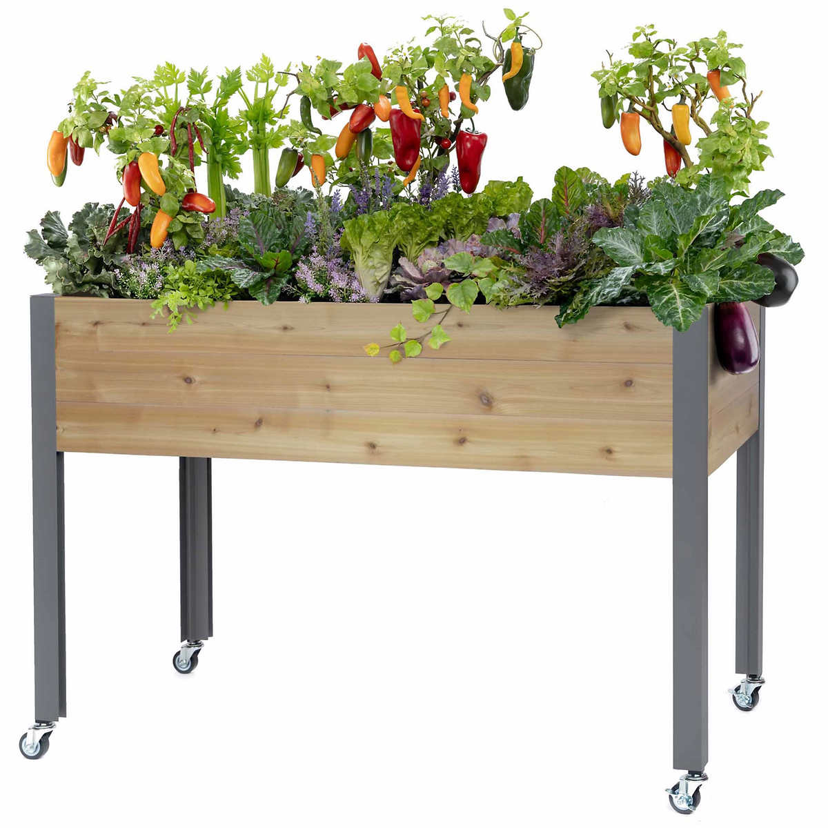 CedarCraft 81 cm (32 in.) Self-watering Elevated Cedar Planter