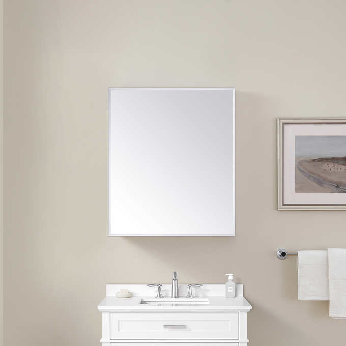 OVE Decors Anton 24 in. Medicine Cabinet with Mirror broken mirror