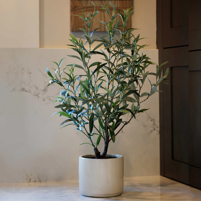 TABLETOP OLIVE TREE Faux