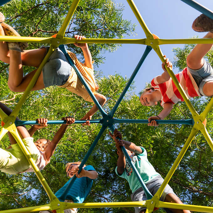 Lifetime Climbing Tower