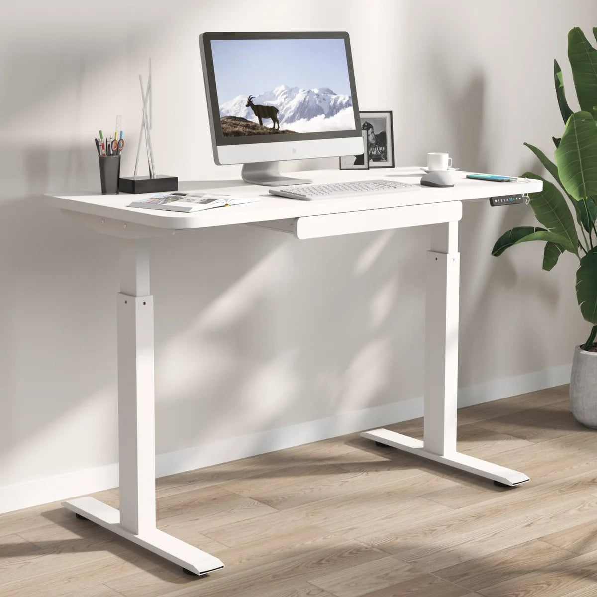 Motionwise 121.9 cm × 61 cm (48 in. × 24 in.) Height Adjustable Standing Desk White