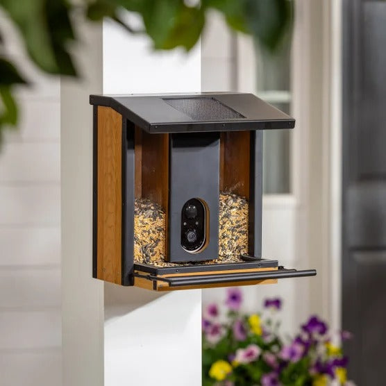 Solar Smart Bird Feeder