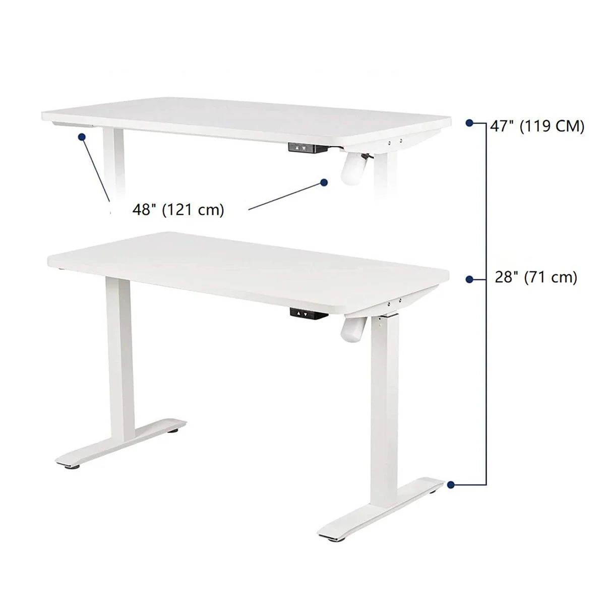 Motionwise 121.92 cm x 60.96 cm (48 in. x 24 in.) Single Motor Height Adjustable Desk