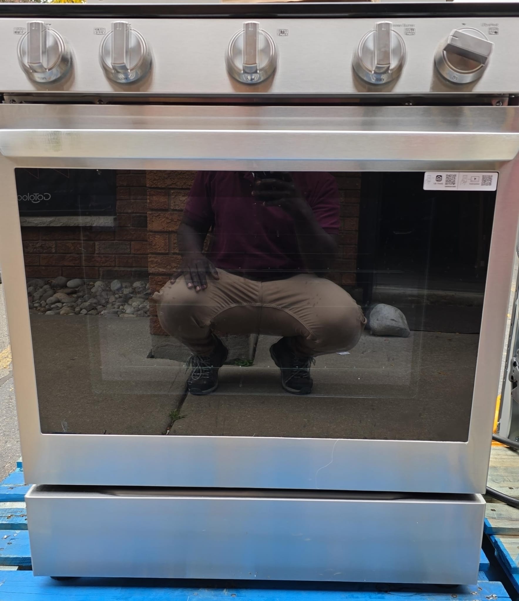 LG 30 in 6.3 cu ft. Stainless Steel Electric Slide-in Range with EasyClean and Pinch to Turn Safety Knobs