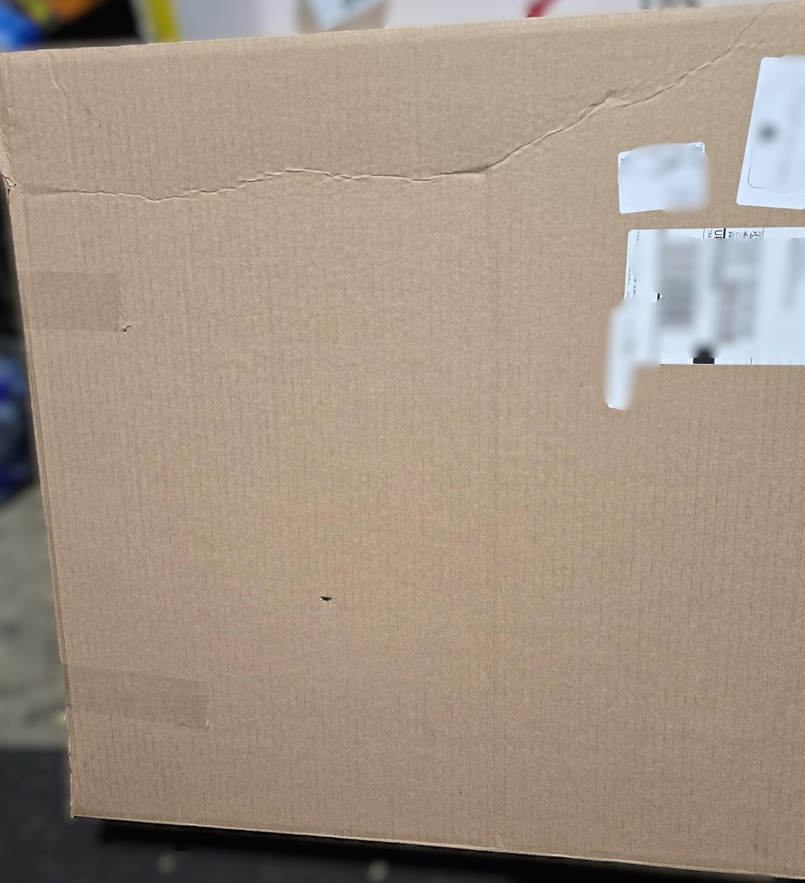 71 cm (28 in.) Fresh Mixed-Evergreen Holiday Wreath Set, 2-pack