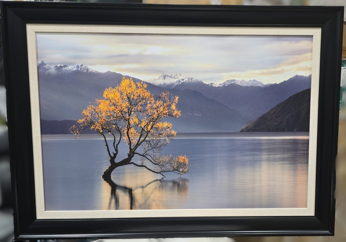 “Undisturbed” Framed Photographic Print by Michael Cahill