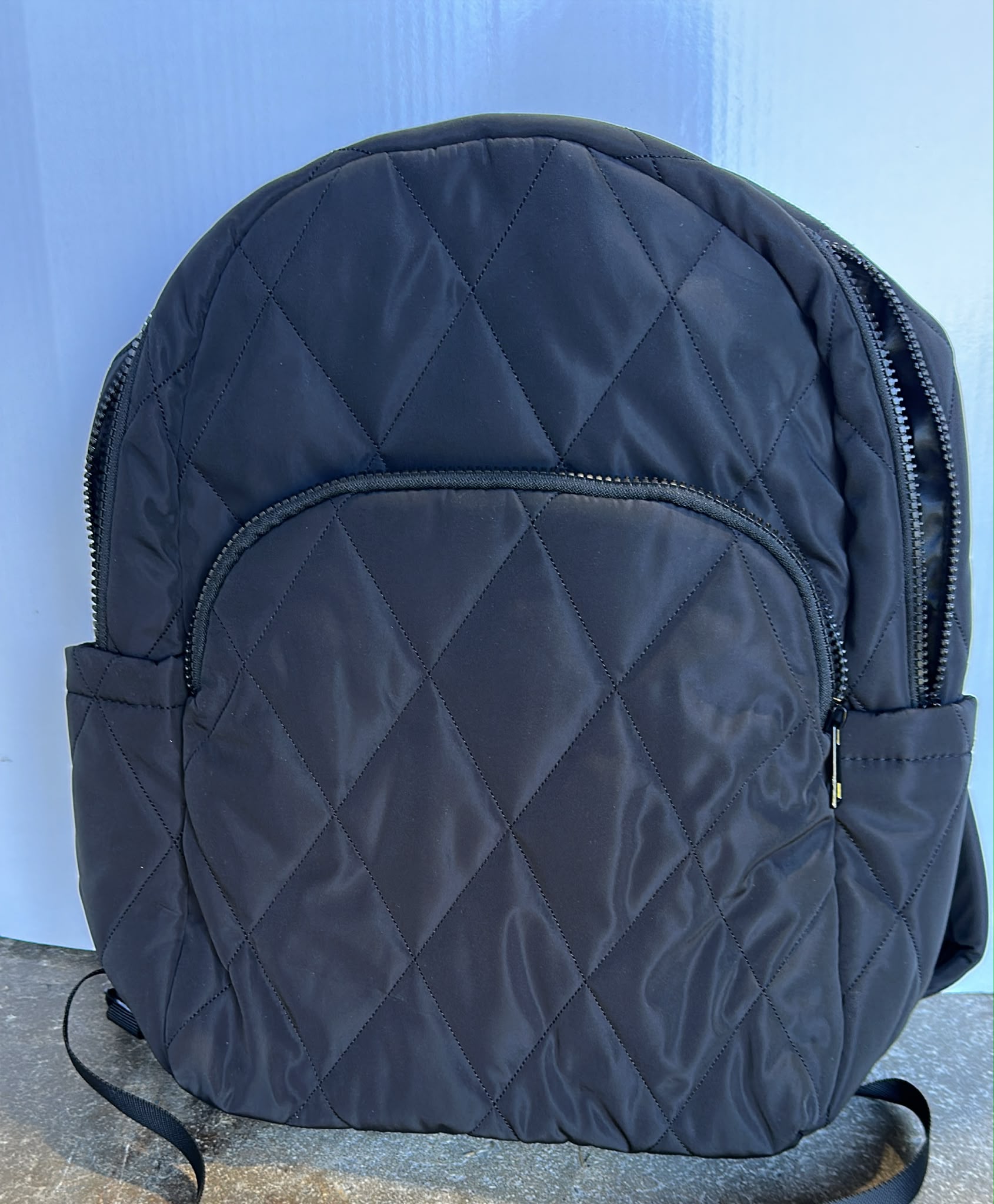 Lightweight Quilted Puffer Backpack