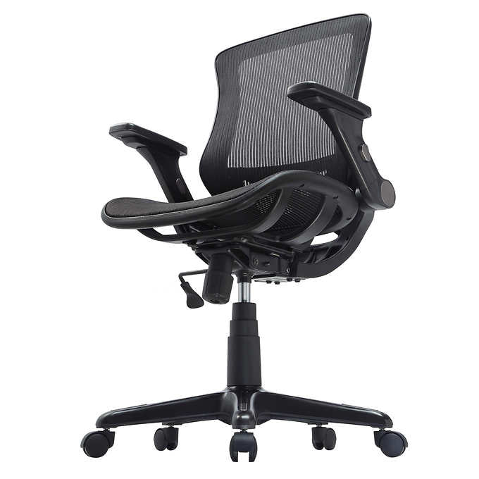 Mesh Metrex IV Office Chair