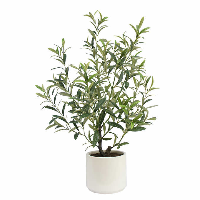TABLETOP OLIVE TREE Faux