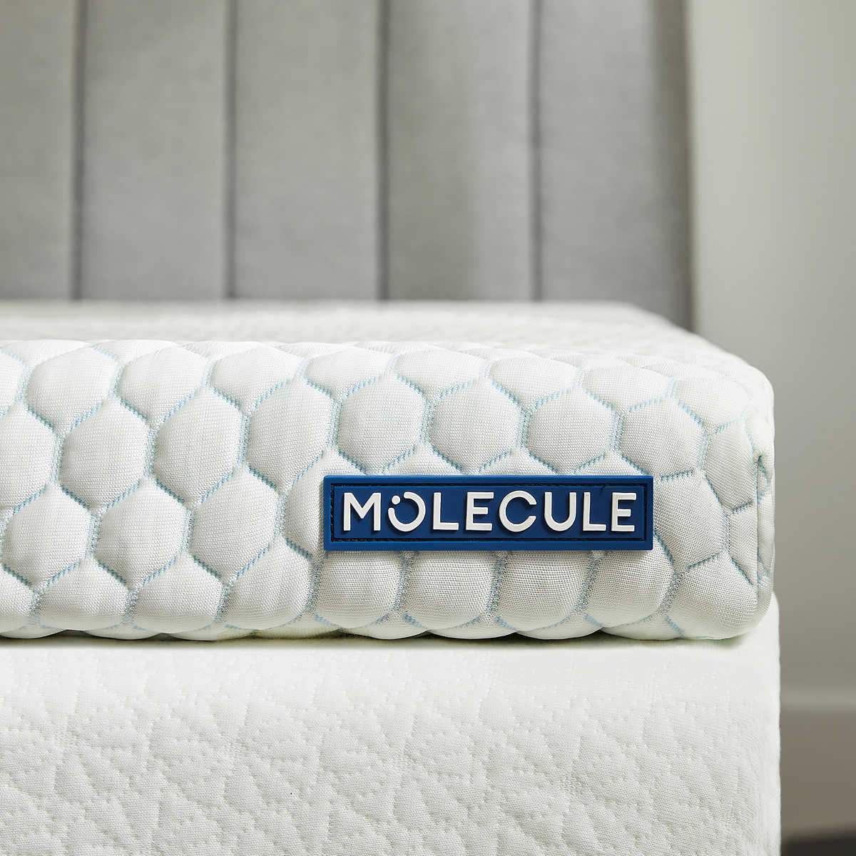 MOLECULE TOPPER QUEEN