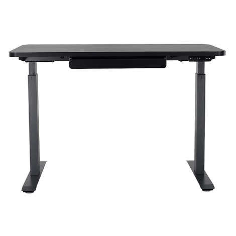 Motionwise 121.9 cm × 61 cm (48 in. × 24 in.) Height Adjustable Standing Desk Black