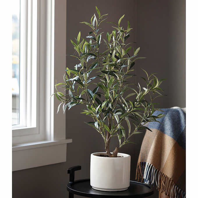 TABLETOP OLIVE TREE Faux