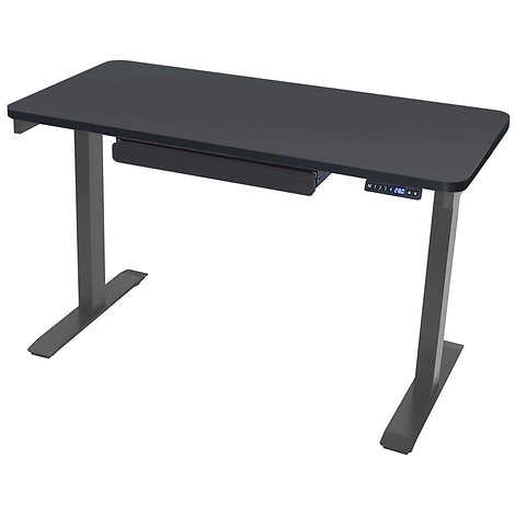 Motionwise 121.9 cm × 61 cm (48 in. × 24 in.) Height Adjustable Standing Desk Black