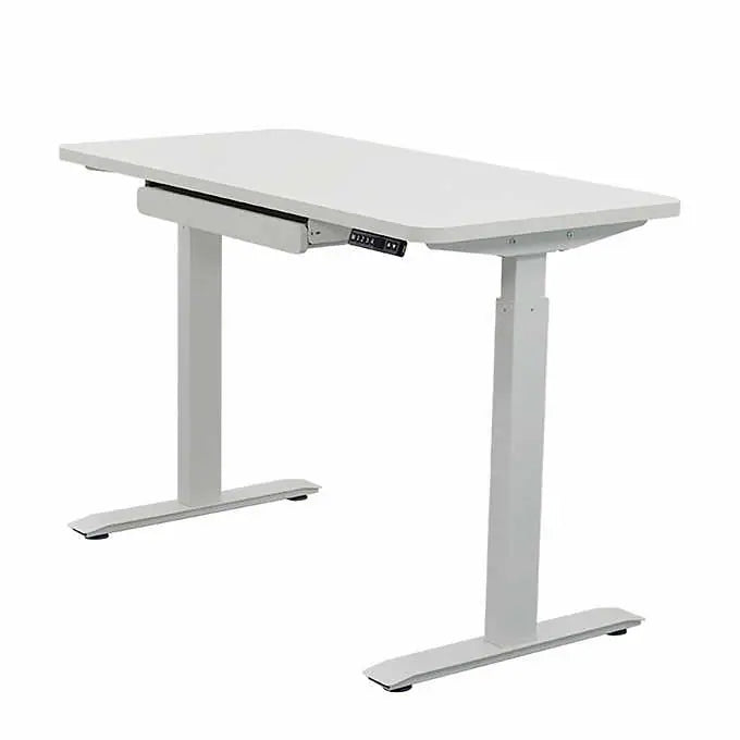 Motionwise 121.92 cm × 60.96 cm (48 in. × 24 in.) Electric Height Adjustable Standing Desk with Antibacterial Desk Top, White
