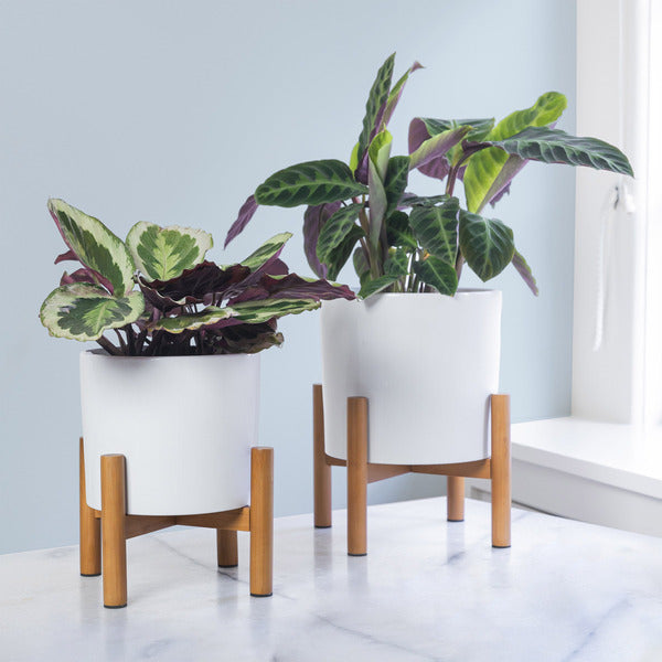Ceramic Planters With Bamboo Stands (2 pack)