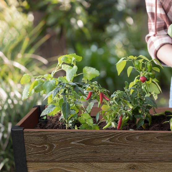 Keter Signature 29 Gallon Rolling Raised Garden Bed with Self Watering