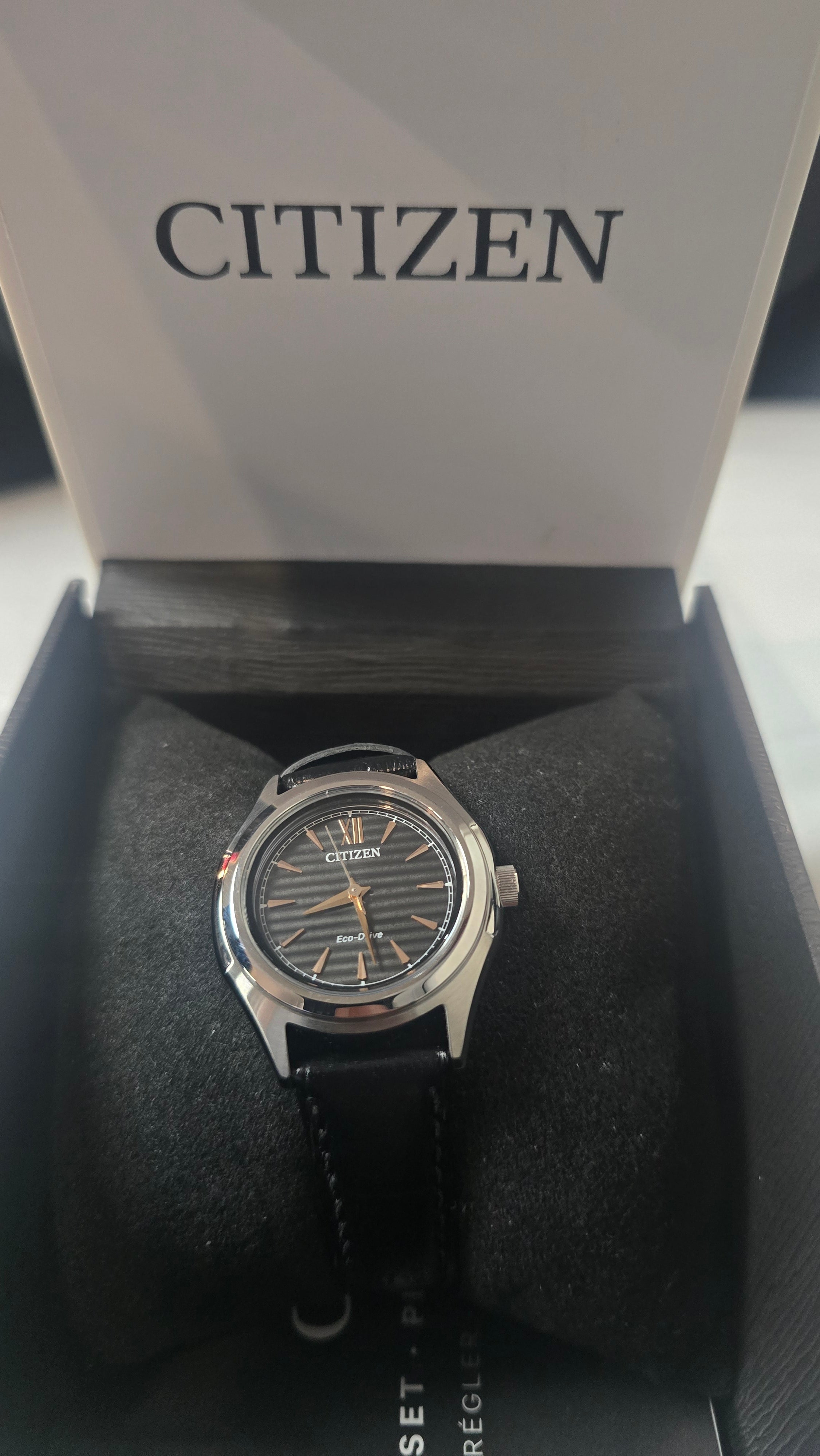 FE2110-14E CITIZEN L WATCH