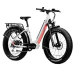 IGO ELECTRIC FAT TIRE BIKE 26 in x 4 5 in Tires ONLY IN BLACK COLOUR