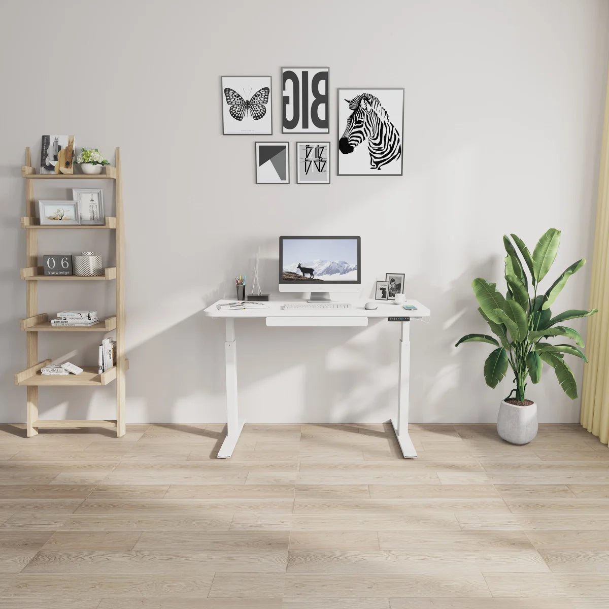 Motionwise 121.9 cm × 61 cm (48 in. × 24 in.) Height Adjustable Standing Desk White